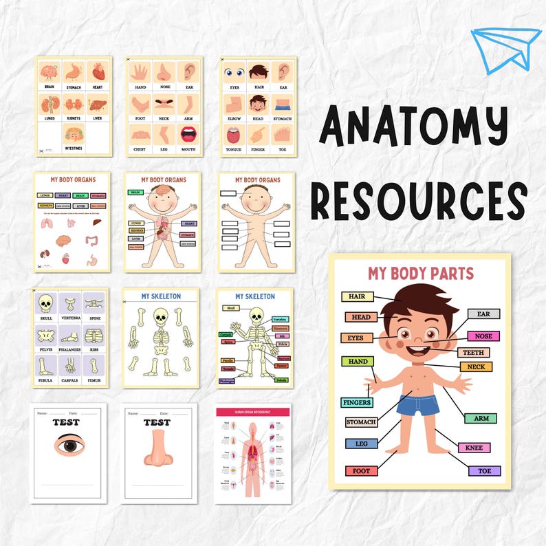 The Perfect- Teacher Bundle