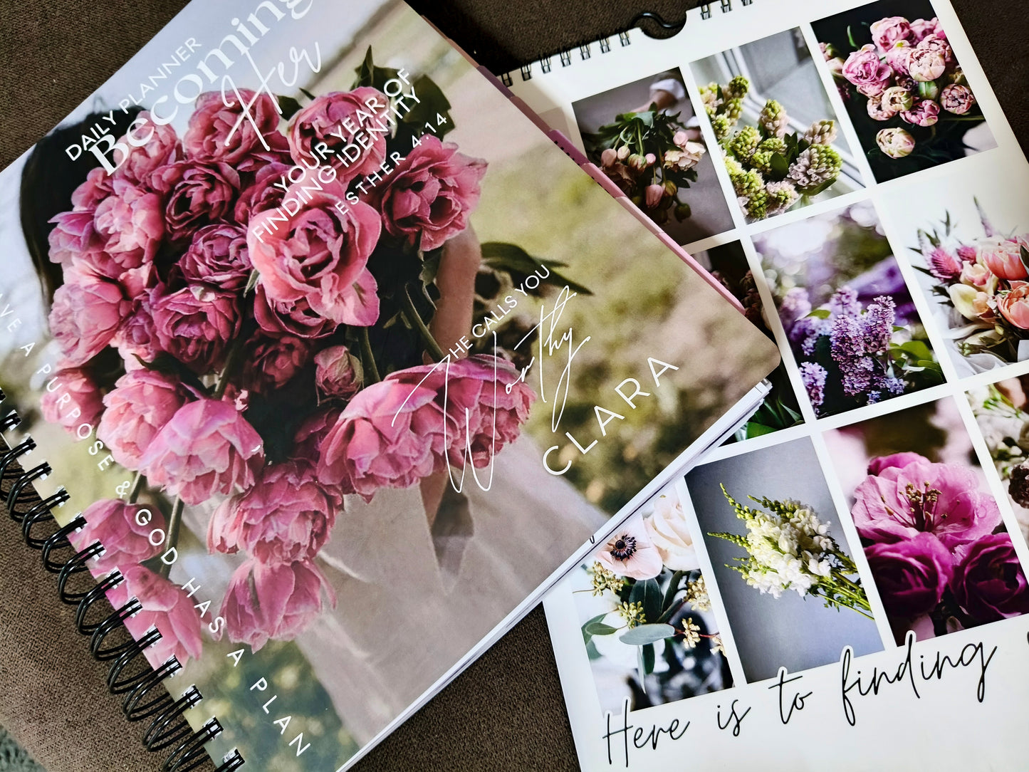 Diary 2026
